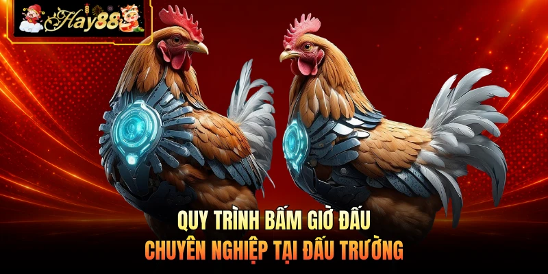 Nhà cái Hay88 Quy trình bấm giờ đấu chuyên nghiệp tại đấu trường